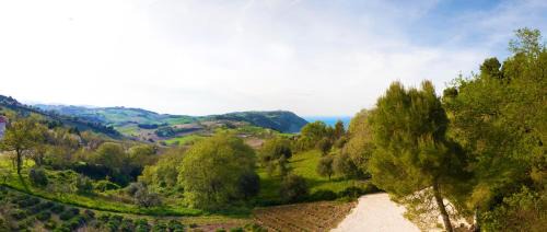 Ancona Bed & Breakfast | B&B La Torre del Poggio