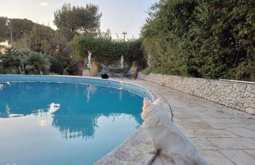 Giorgilorio Bed & Breakfast | Top-Rated B&B Le Amazzoni with Pool & Kitchen Access