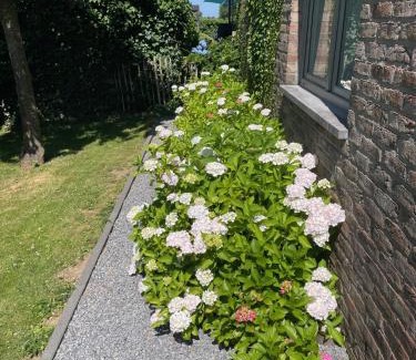 Sart-lez-Spa Bed & Breakfast | Serene B&B Le Calme with Pool and Ocean Views in Spa