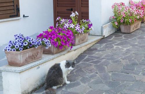 Nuoro Bed & Breakfast | Discover B&B Le Fresie: Pet-Friendly Retreat with Breakfast