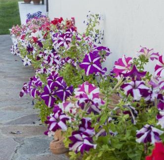 Nuoro Bed & Breakfast | Discover B&B Le Fresie: Pet-Friendly Retreat with Breakfast