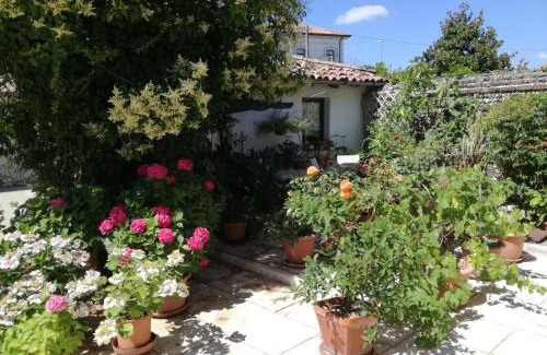 Castagnole Bed & Breakfast | Highly Rated B&B LE ORTENSIE: Comfort Awaits You