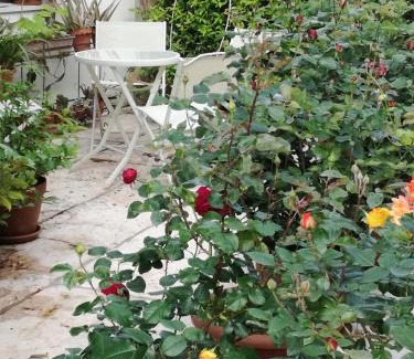 Castagnole Bed & Breakfast | Highly Rated B&B LE ORTENSIE: Comfort Awaits You