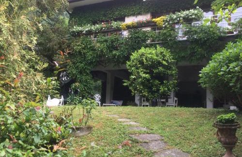 Lierna Bed & Breakfast | Pet-Friendly B&B Le Ortensie with Oceanfront Views