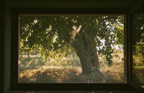 Terre Roveresche Bed & Breakfast | Family-Friendly B&B Le Tamerici with Kitchen Access