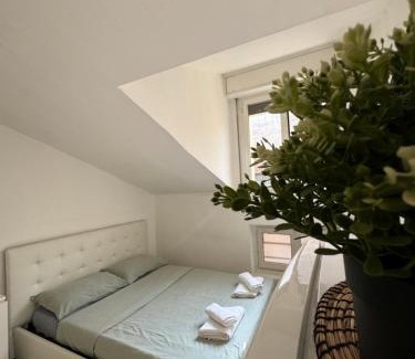 Loreto Apartment | Pet-Friendly Retreat at B&B Loreto for Your Next Stay