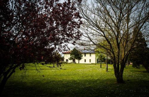 Dozza Bed & Breakfast | Discover B&B Magic: Pet-Friendly Getaway with Top Amenities