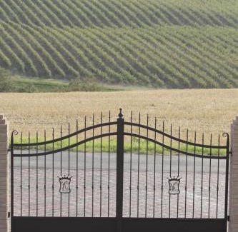 Dozza Bed & Breakfast | Discover B&B Magic: Pet-Friendly Getaway with Top Amenities