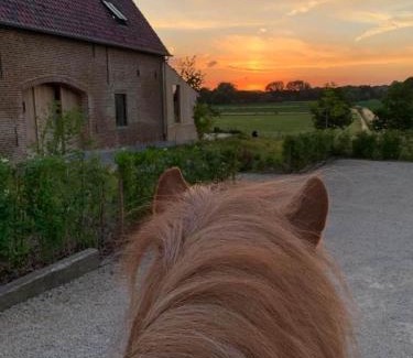 Oudenaarde Bed & Breakfast | Family-Friendly Escape at B@B Martinushoeve - Rated 8/10