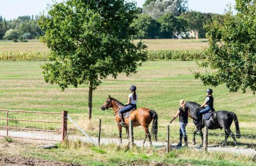 Oudenaarde Bed & Breakfast | Family-Friendly Escape at B@B Martinushoeve - Rated 8/10