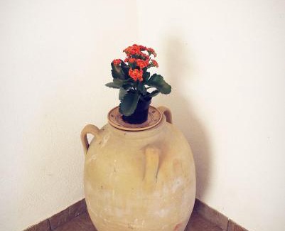 Carpignano Salentino Bed & Breakfast | Pet-Friendly Retreat at B&B Masseria Donna Carlotta