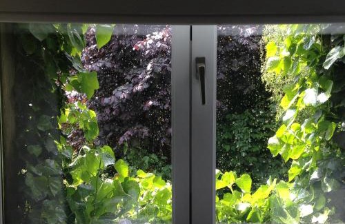 Liege Bed & Breakfast | Discover B&B Matin Tranquille: 9/10 Rated Comfort & Care