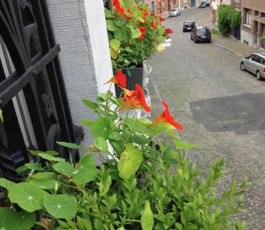 Liege Bed & Breakfast | Discover B&B Matin Tranquille: 9/10 Rated Comfort & Care