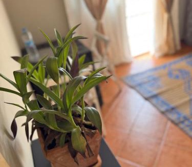 Sal Rei Bed & Breakfast | Top-Rated B&B Mi Ma Bo with Ocean Views in Cape Verde