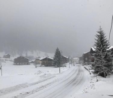 Formazza Bed & Breakfast | Charming B&B Monte Giove Formazza: Family-Friendly Retreat