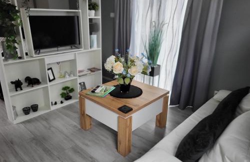 Municipality of Tiel Bed & Breakfast | Pet-Friendly Bliss at B&B Mooi Betuwe - Rated 9/10!