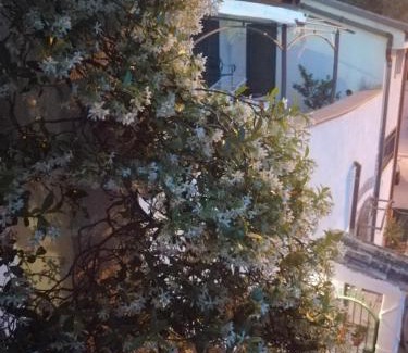 Salerno Bed & Breakfast | Top-Rated B&B Moscani: Ideal for Families and Pets