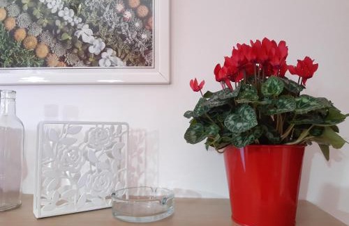 Morcone Bed & Breakfast | Pet-Friendly B&B Murgantia with Exceptional Guest Ratings