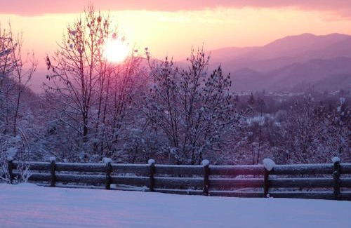 Gaiola Bed & Breakfast | Oceanfront B&B Notte Stellata - Guest Rated 9.7/10