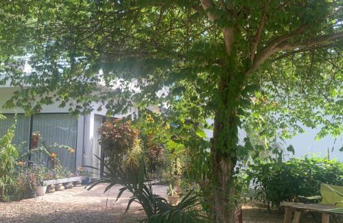 Ngada Bed & Breakfast | Pet-Friendly B@B Omaherma: Guest Rated 10/10 with Breakfast