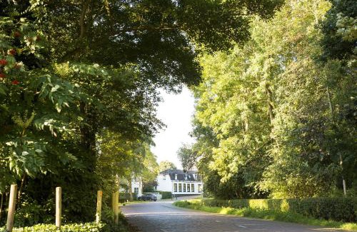 Schuddebeurs Bed & Breakfast | Discover B&B Ons Dijkhuisje: Oceanfront Bliss Awaits
