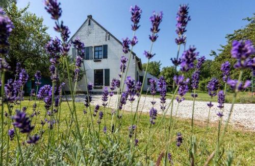 Baexem Bed & Breakfast | Explore B&B Op de Soursehof: Pet-Friendly Retreat with Breakfast
