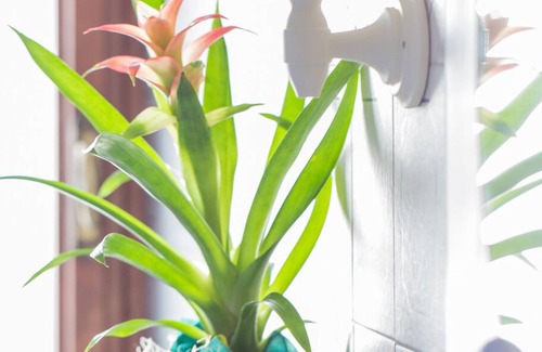 Florence Bed & Breakfast | Discover B&B Palazzi: Guest Rated 9.2 with Spa & Restaurant