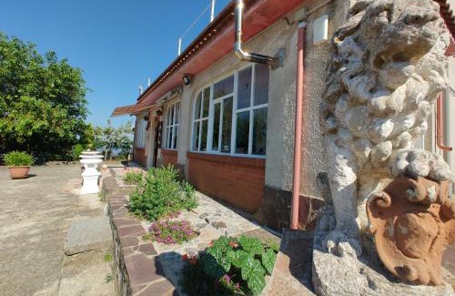 Sorianello Bed & Breakfast | Pet-Friendly B&B Passo Del Falco with Breakfast Included