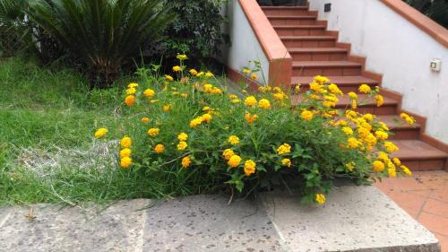 Caltanissetta Bed & Breakfast | Cozy B&B Pian del Lago: Pet-Friendly Retreat for Families