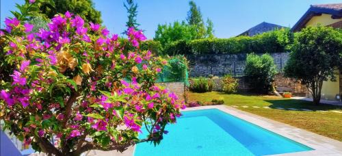 Gargagnago di Valpolicella Bed & Breakfast | Guest Favorite: B&B Quintarelli with Oceanfront Pool
