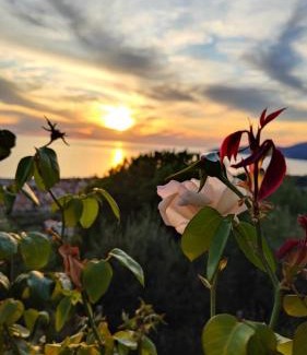Marina di Ascea Bed & Breakfast | Oceanfront B&B Relais da Clorinda - 4-Star Family Retreat