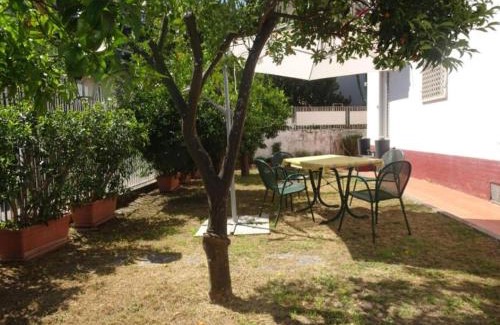 Posillipo Bed & Breakfast | Relax at B&B Rivalta - Posillipo: Pet-Friendly Retreat