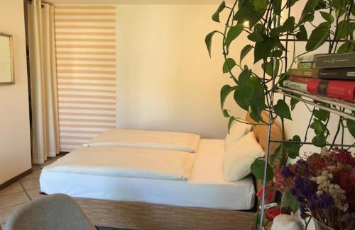 Nord-Est Bed & Breakfast | Discover B&B Romy Rocker: Oceanfront Retreat with Spa