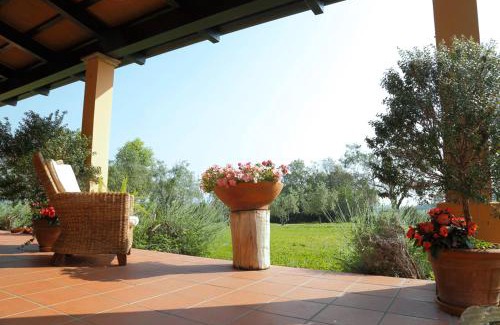 Coriano Bed & Breakfast | Outstanding B&B Rosaverde: Pet & Child Friendly Oasis