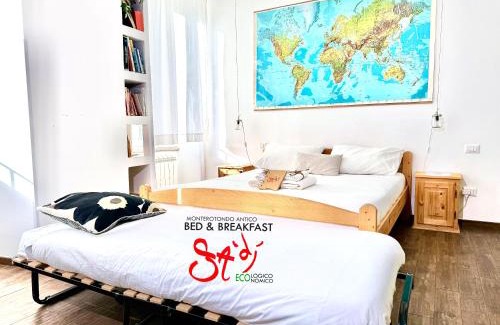 Monterotondo Bed & Breakfast | Discover Comfort at B&b Sà Di - Breakfast Included!