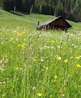 Granvilla Bed & Breakfast | Guest Rated: 9.6 at B&B Schlossar Haus with Hot Tub