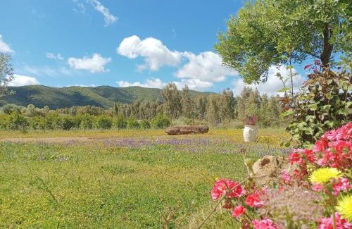 Villamassargia Apartment | Idyllic B&B Sensorial Experience with Ocean View & Breakfast