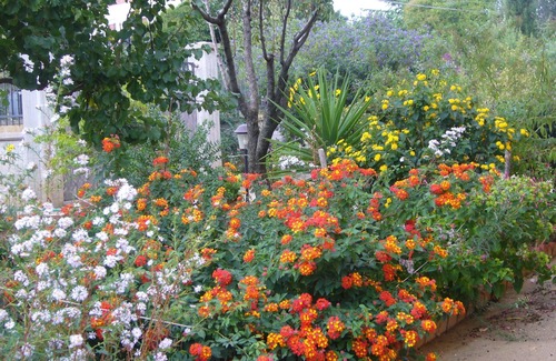 Caltanissetta Villa | Discover B & B St. ELIA Suite ROSA in Historic Park Dubini