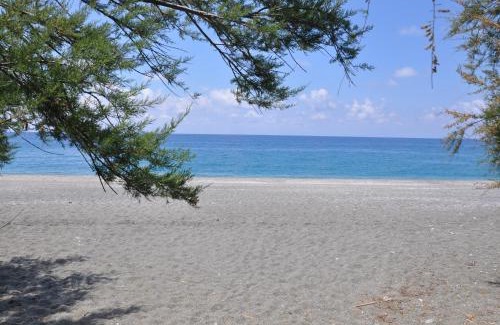 Annunziata Apartment | Beachfront Bliss at B&B Sulla Spiaggia with Ocean Views