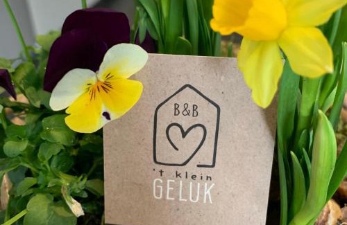 Kwaadmechelen Bed & Breakfast | Guest Rated 10/10: B&B 't klein GELUK with Pool Access