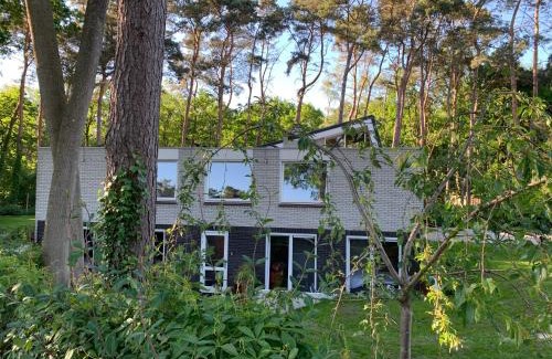 Municipality of Elburg Bed & Breakfast | Child-Friendly Retreat at B&B 't Onderkomen - Guest Rated 9.3