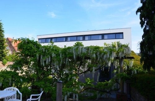 Diksmuide Bed & Breakfast | Discover B&B 't Withuis: Family-Friendly & Accessible Stay