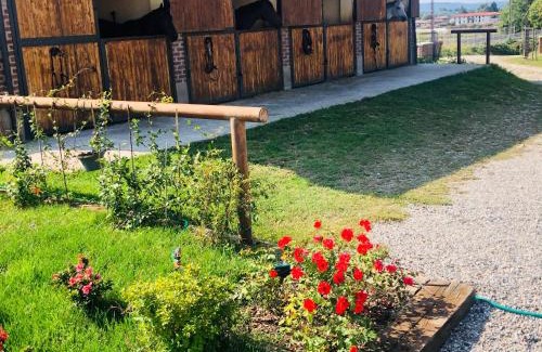 Sesto Calende Bed & Breakfast | Pet-Friendly Retreat at B&B Tenuta Legnate, Rated 9.5/10