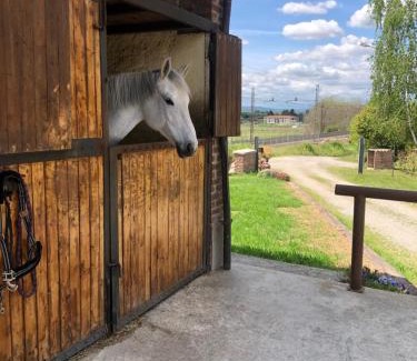 Sesto Calende Bed & Breakfast | Pet-Friendly Retreat at B&B Tenuta Legnate, Rated 9.5/10