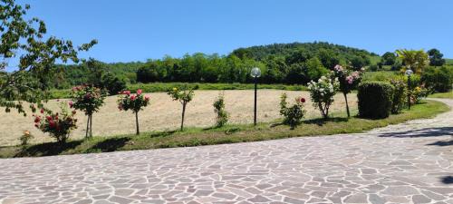 Camerino Bed & Breakfast | B&B Terra Camerte