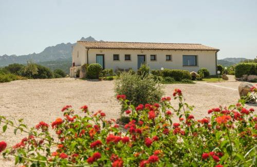 Sa Castangia Bed & Breakfast | Exceptional B&B Terra e Smeralda: Pet-Friendly Retreat