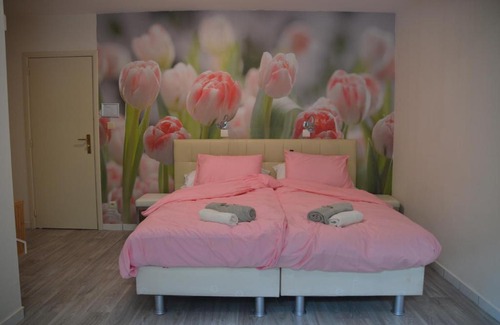 Epelaar Heide Bed & Breakfast | Pet-Friendly B&B The New Challenge with Breakfast Included