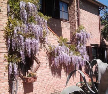 Polverigi Bed & Breakfast | Relax at B&B Timeout with Ocean Views & Family-Friendly Amenities
