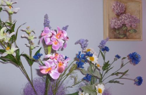 Polverigi Bed & Breakfast | Relax at B&B Timeout with Ocean Views & Family-Friendly Amenities