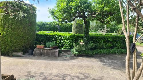 Padova Bed & Breakfast | Child-Friendly B&B VIA DEL CRISTO Near Local Attractions